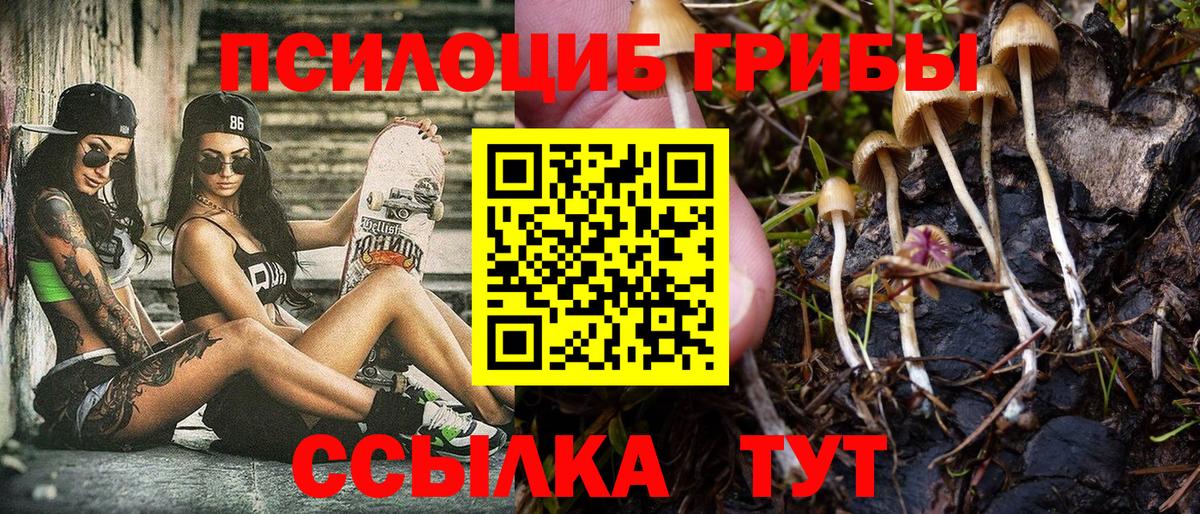 Галлюциногенные грибы MAGIC MUSHROOMS Чистополь